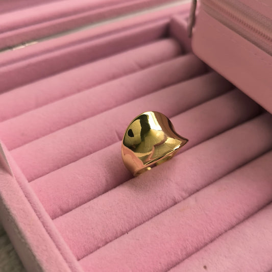 Anillo encanto en acero inoxidable
